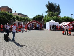 IMG_9691